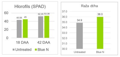 Article infograph 5.JPG